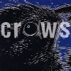 Crows - Durty Bunny