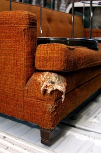 couch Nothing a little patching can't take care of.