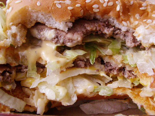 Gross Burger