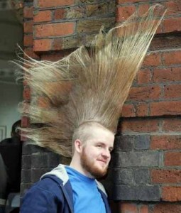 While very cool looking, a hairdo this big is probably a bad idea for going to a show