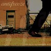 Antifreeze - The Search for Something More