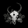 Demon Hunter - Summer Of Darkness